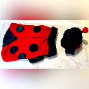 Target ladybug dog costume size small